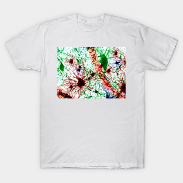 Brain cells, illustration (F013/1488) T-Shirt by SciencePhoto